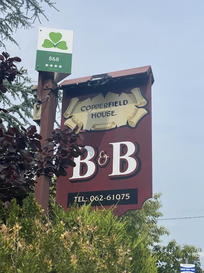 Bed and Breakfast Copperfield House Cashel  Esterno foto