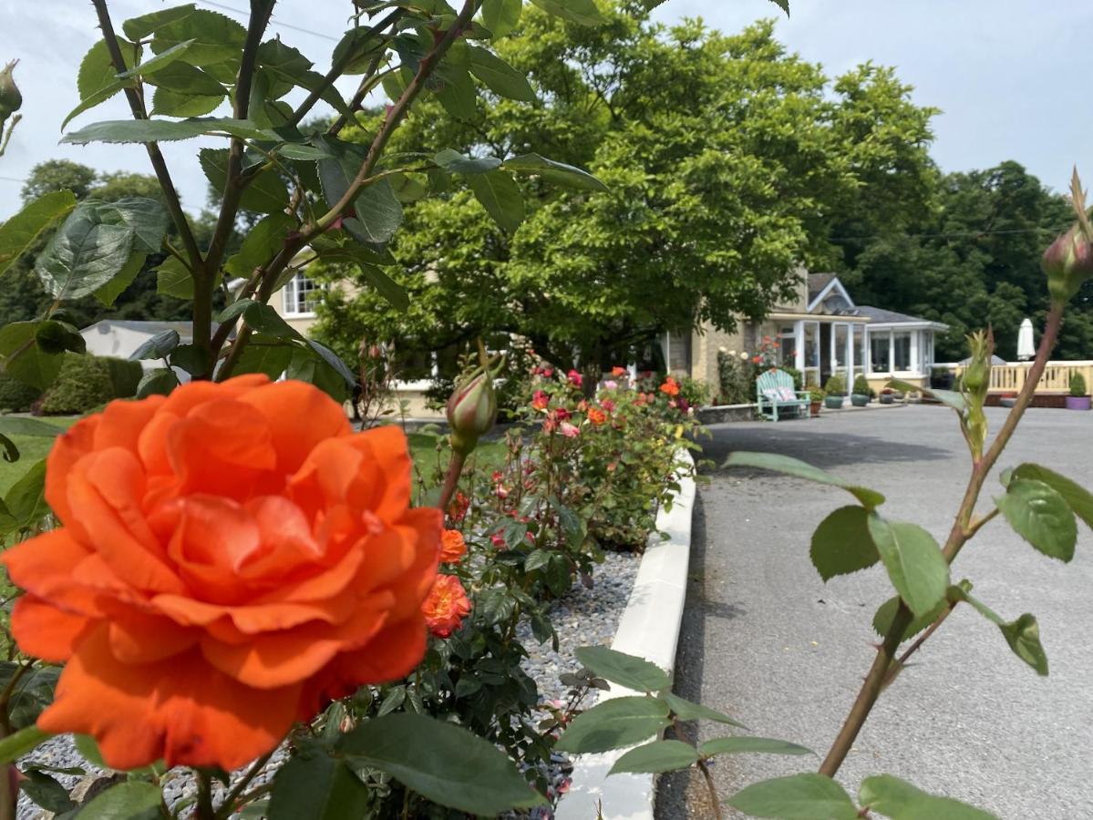 Bed and Breakfast Copperfield House Cashel  Esterno foto